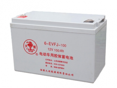 6-EVFJ-100 电动车用胶体蓄电池