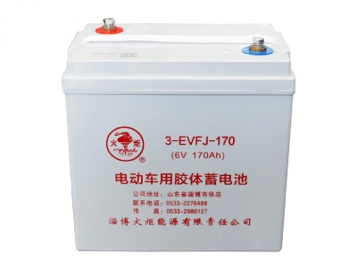 3-EVFJ-170 电动车用胶体蓄电池